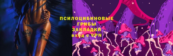 сатива Абдулино