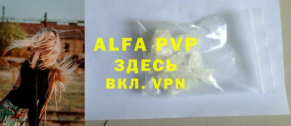 гашик Абаза