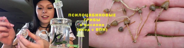 сатива Абдулино