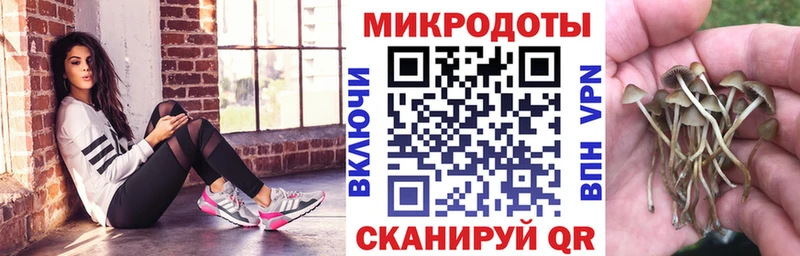 Галлюциногенные грибы Psilocybe  МЕГА ONION  Электроугли 